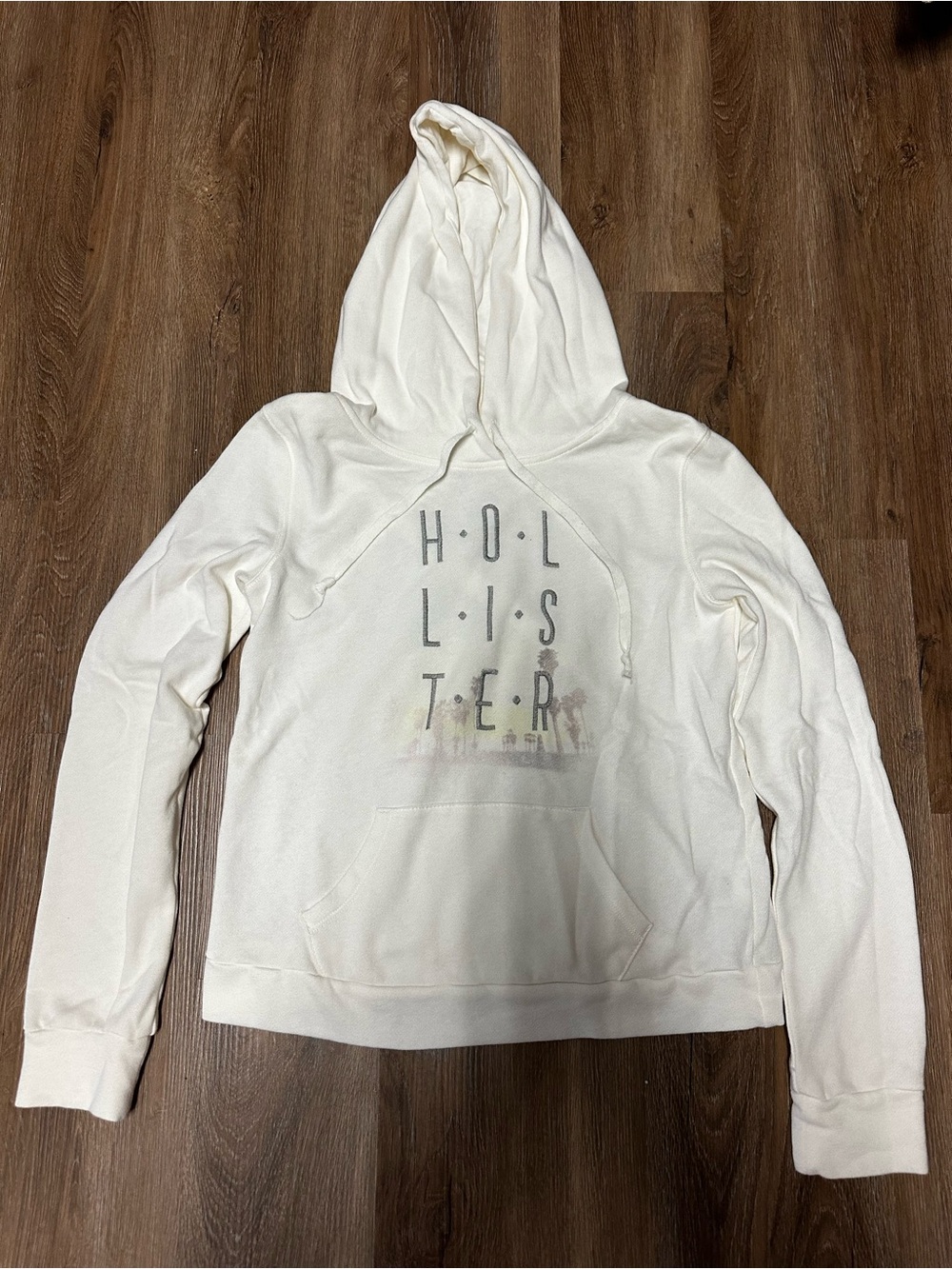 Hollister Cream Holiday Graphic Hoodie